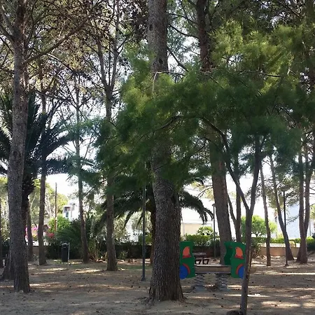 Sirella 2 *